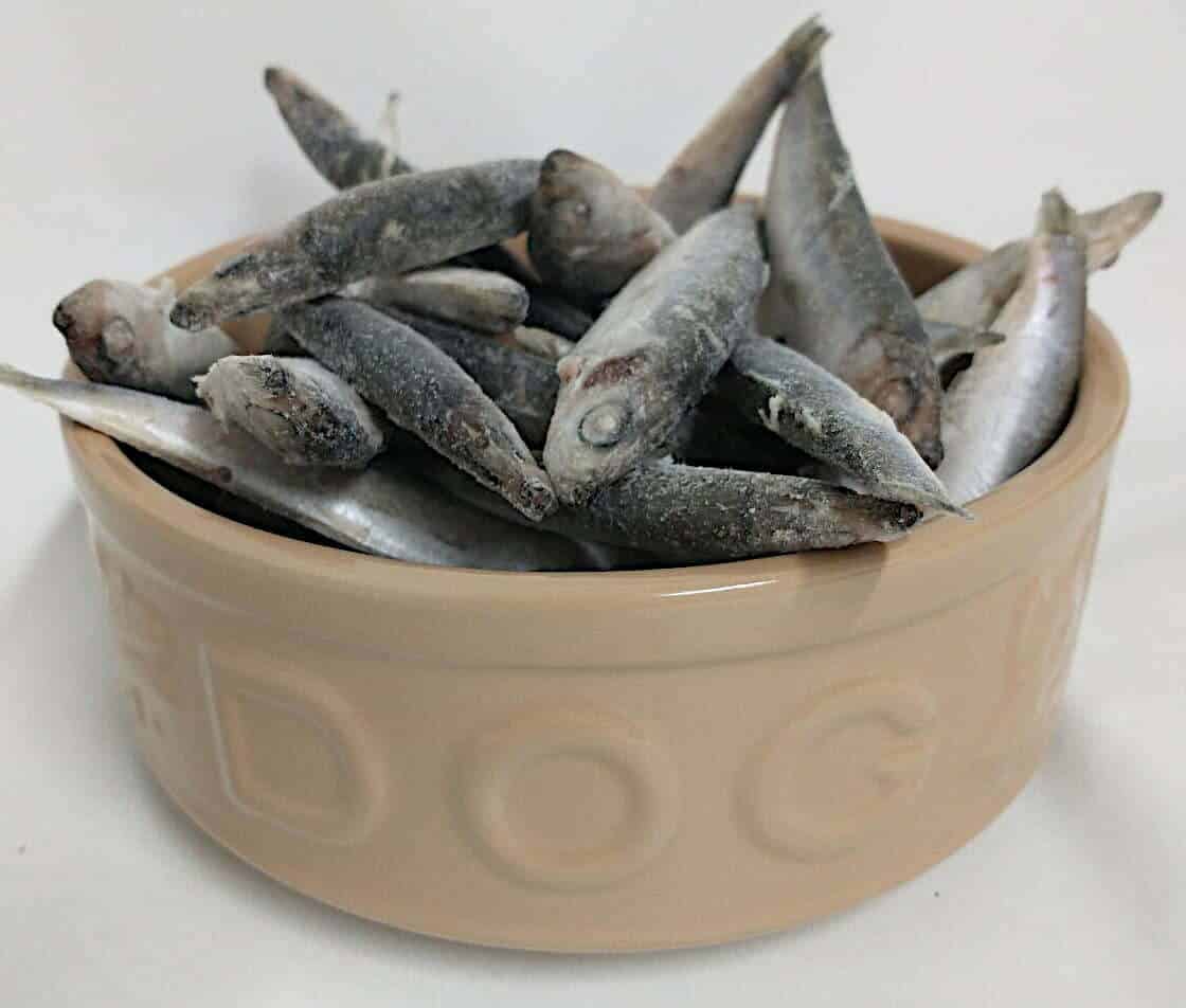 Sprats.jpeg
