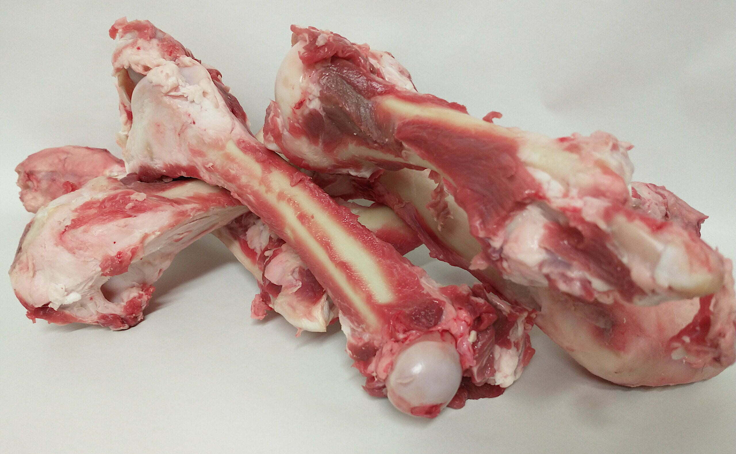 Lamb-Bones-1-scaled-1.jpg Lamb-Bones-1-scaled-1.jpg